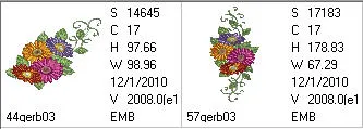 Gerbera Extra 03