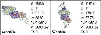 Gerbera Extra 04