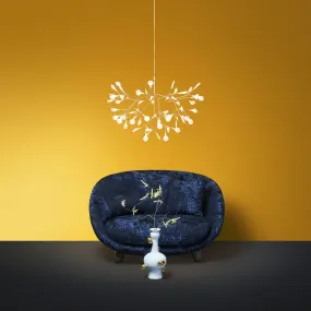 HERACLEUM III S