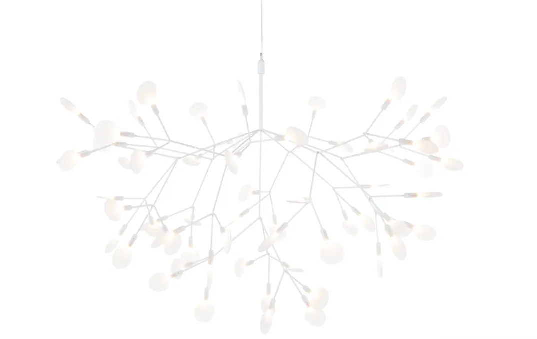 HERACLEUM III S