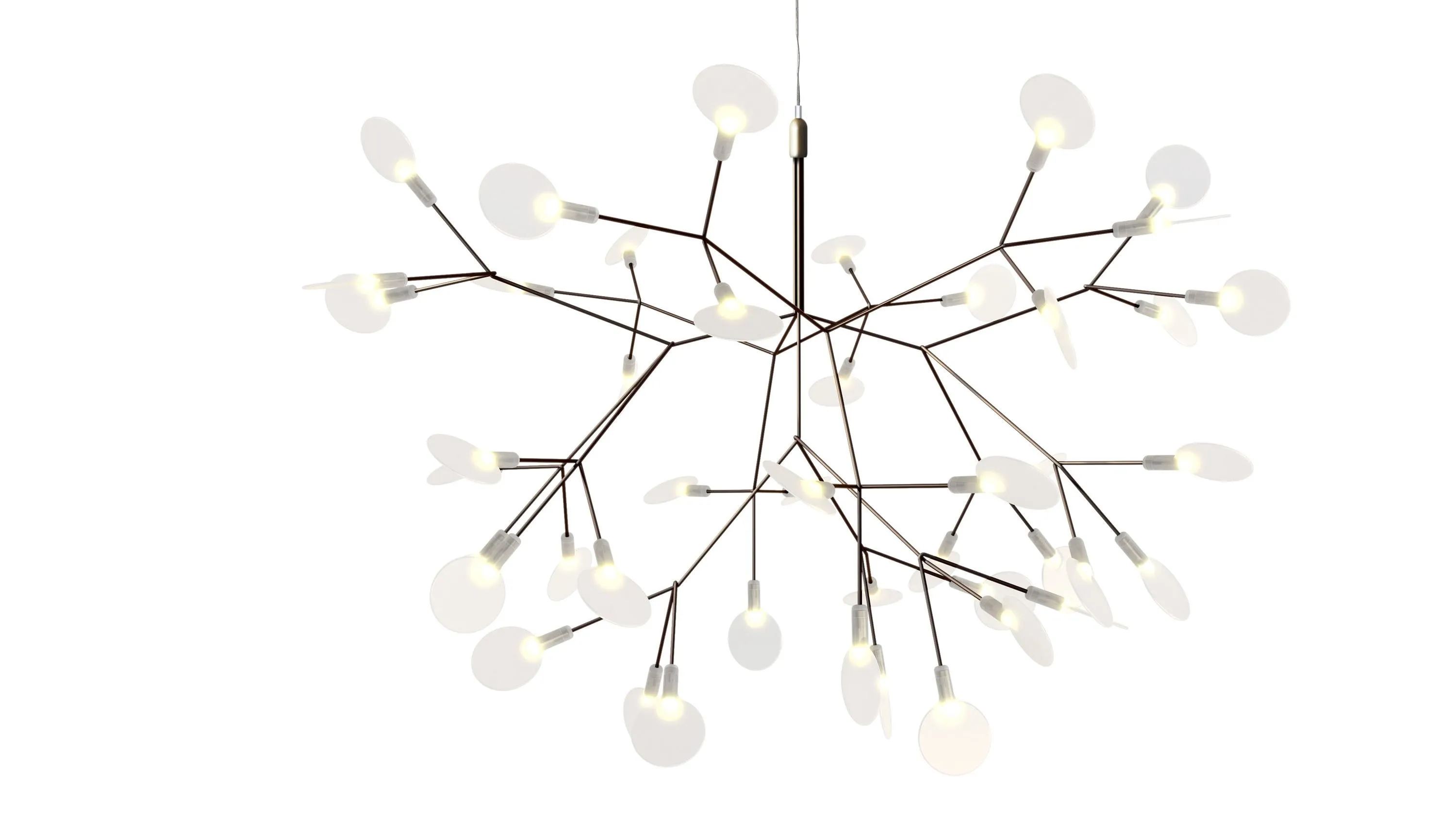 HERACLEUM III S